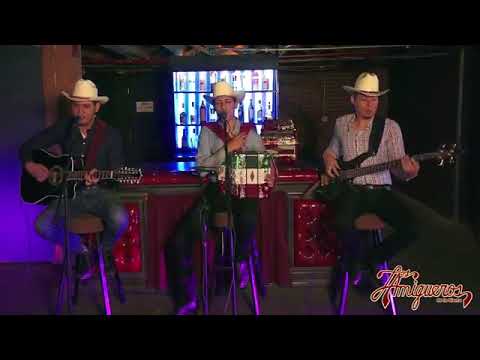 Los Amigueros de la Sierra - Paso de la Vida En Vivo 2017 - YouTube