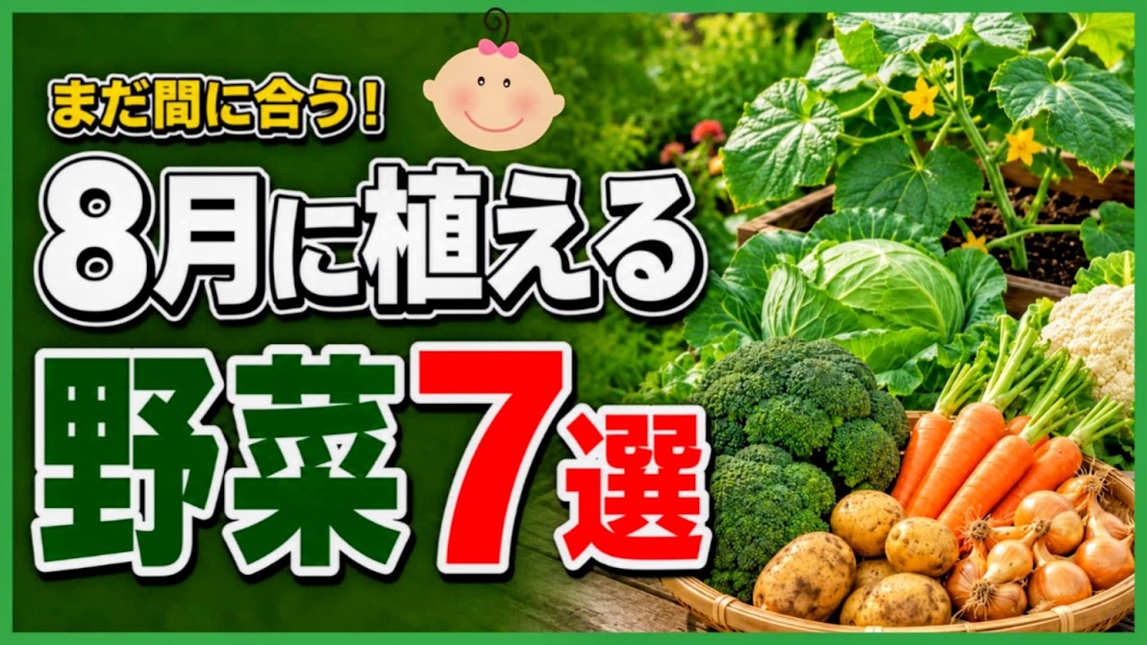 8 月 に 植える 野菜