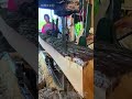 木材が一瞬で切断!? 圧巻の鋸床テク🔥 | Wood Cutting Satisfying #木材加工 #木工 #職人技 #Shorts