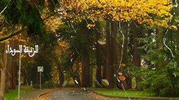 سورة القدر كامله بصوت الشيخ احمد العجمي