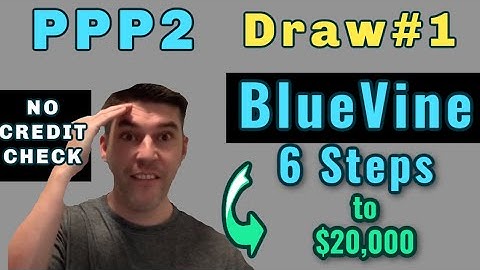 PPP Round 2 Loans No CREDIT Check: How to Apply: BlueVine Draw 1- Step by Step- Gig Worker 1099 PPP]