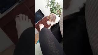 Lecker, Zeig Her Deine Füße