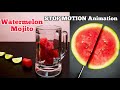 Watermelon mojito recipe  stop motion  time lapse  trusty tastebuds