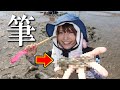 【100均の筆】だけで高級食材が捕れる⁉（穴から、うじゃうじゃ)