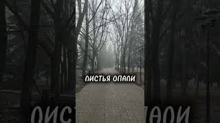 Утро 🍂Осенняя прогулка с младшим сыном #душевно #выходные #осень2025 #осознаннаяжизнь #тепловнутри