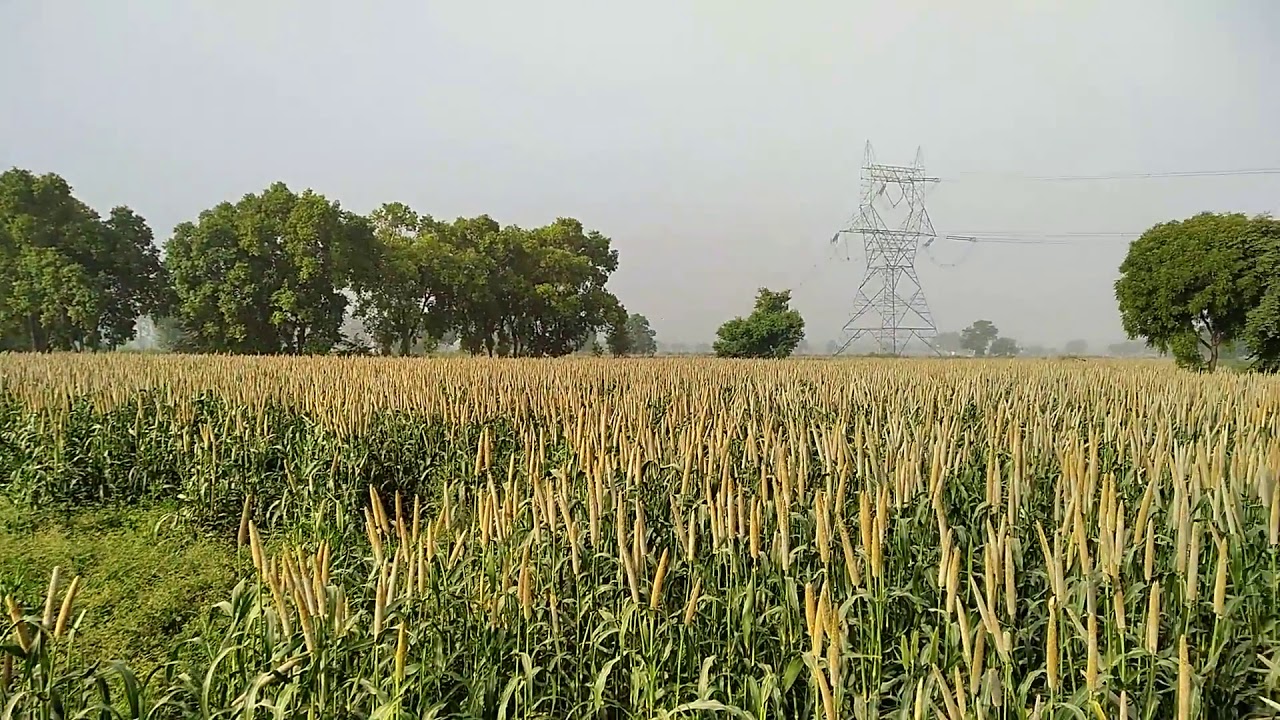 pioneer bajra 86m11 youtube pioneer bajra 86m11 youtube