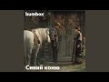 Сивий коню