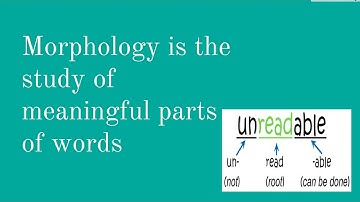 Contrastive Analysis PART 1