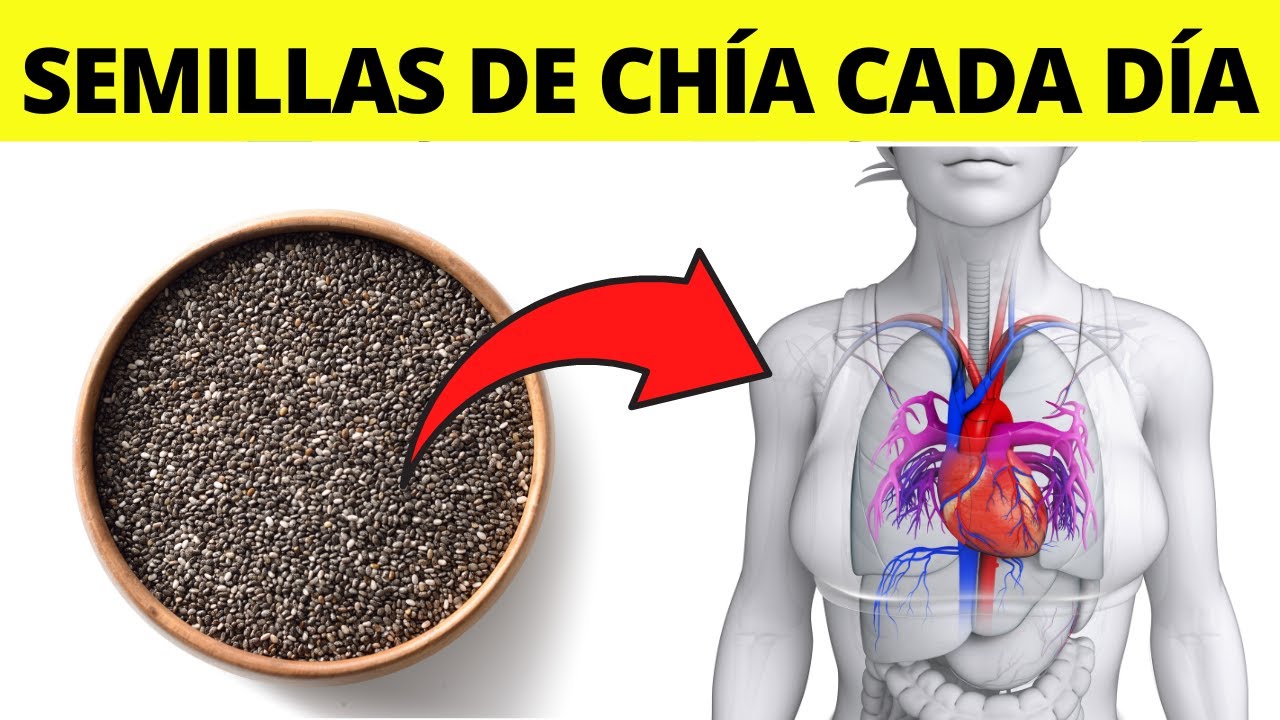 Semillas de chia en el embarazo