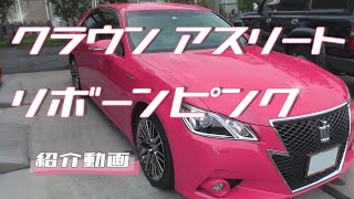 ピンクのクラウン紹介動画 - YouTube