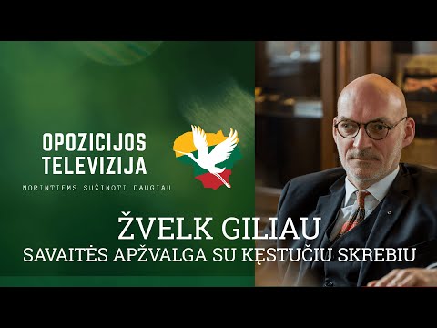 Video: Kai mokesčių mokėtojas patiria grynųjų nuostolių dėl nerezidento?