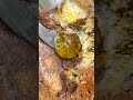 Gem stones from the canyon, amethyst and veined agate. diamonds and gold