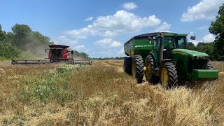 Yankee learns about farming in the South