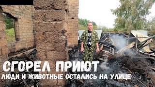 СГОРЕЛ ПРИЮТ, ЛЮДИ И ЖИВОТНЫЕ ОСТАЛИСЬ НА УЛИЦЕ!