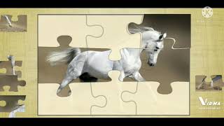 horse puzzle  game(1) screenshot 4
