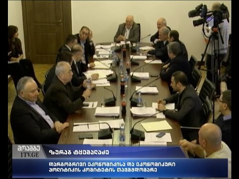 პარლამენტმა ეროვნული ბანკის საბჭოს წევრობის კანდიდატს, მოუსმინა