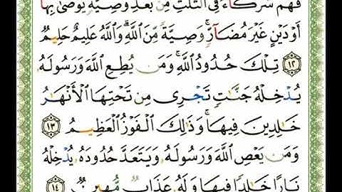 سورة النساء 4 - 114  شيرزاد عبد الرحمن طاهر - قراءة مرتلة