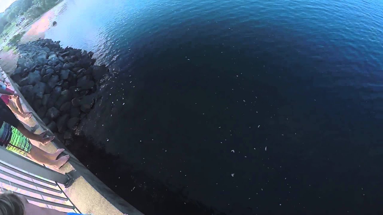 Living on the edge. Jump and learn to fly