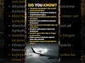 Little-Known Meanings Behind Turbulence Announcements