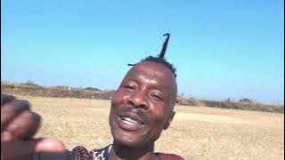 MASHONISA NEW MASKANDI MUSIC VIDEO BY Mashonisa  YADLALISHENDE 0797502507 DVD 2021