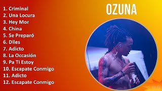 Ozuna 2024 MIX Grandes Exitos - Criminal, Una Locura, Hey Mor, China