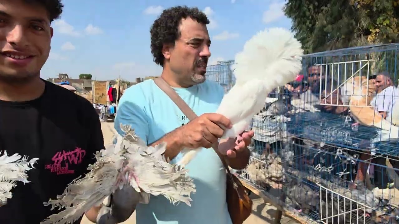 بسم الله الرحمن الرحيم وحشتوني واسف كنت مضغوط 01014178127