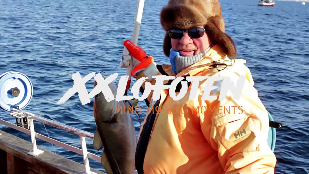 Famous fishing in Lofoten