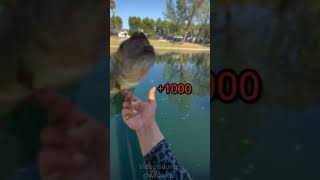 Fish Flip!!!......#fish #fishing #funny #meme #cool #awesome #funnyvideos #dankmemes #komik #balık