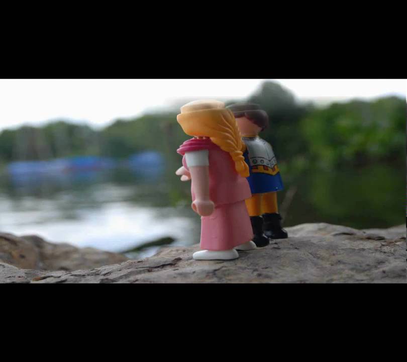 Heikouality - Wild Roses