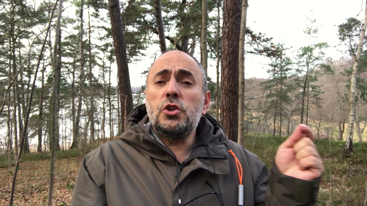 ورشة كسر الحاجز الحادي عشر حفظ الصفحة بدقيقة واحدة.#التدريبات_العقلية #علي_الربيعي #إنعاش_العقل