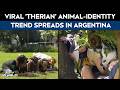 Therians News | Viral Animal Identity Trend ‘Therian’ Takes Over Argentina