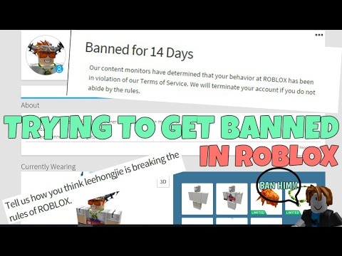 Roblox Advertising Rules