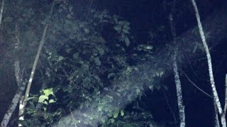 🔴LIVE MISTERI MALAM INI || APA YANG TERJADI MALAM INI