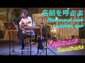 名前を呼ぶよ『Luck Life』 ー 歌ってみた (Namae o yobu yo Luck Life Cover) Live Acoustic Ver.