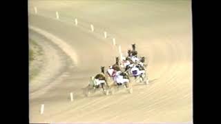 1995 Scioto Downs OHIOSOWN Del S Miller