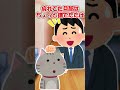 【2ch】遅くに帰ってくる旦那に遊んでもらいたいウチの猫！【アニマル】 #Shorts