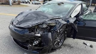 Latest Tesla FSD 14.3.2 saves driver from hitting deer
