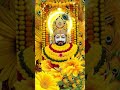 khatu shyam evening live video status #lifeisbutadream #trending #love #bhaktishorts #cjp #live