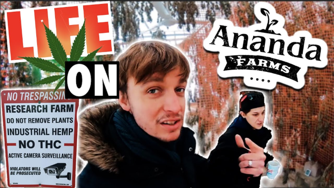 Life on a Hemp Farm w/Sarah Stenuf (Ananda Farms) | Syracuse, New York