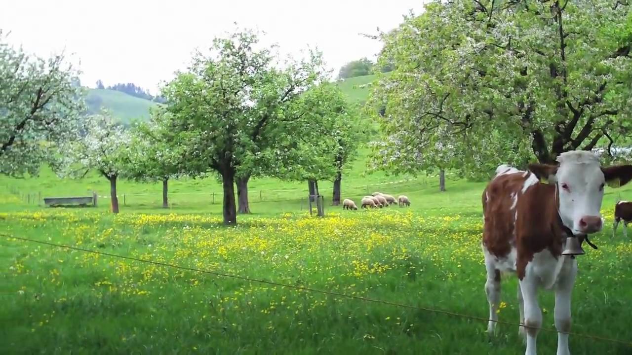 Riggisberg, Switzerland