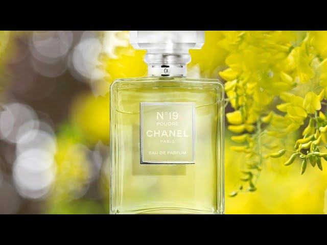 Chanel No 19 Eau de Parfum Chanel perfume - a fragrance for women