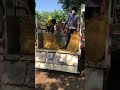 Turmeric Distribution by Save Shakti Foundation