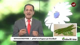 الزنك - الحديد - الكالسيوم - في هذه النبته مع خبير الاعـشاب حــسن خــلـيفه