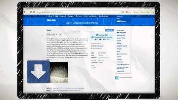 Torch Browser integrated Torrent video