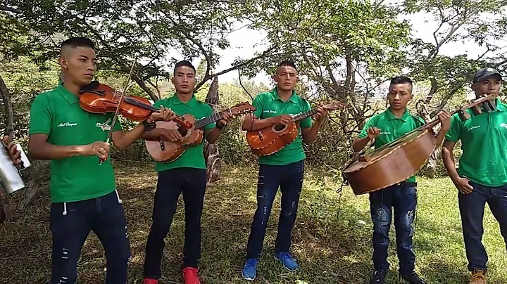 conjunto musical HERMANOS VASQUEZ.tema la guayabit...