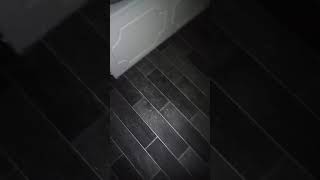 Video Of Bathroom Flood Coming From Upper Apartment