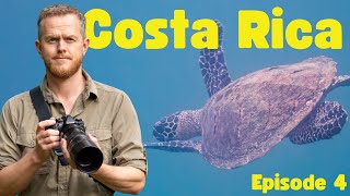 Costa Rica 2022 (p4) | The Amazing Wildlife of Drake Bay