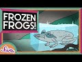 The Secret of Frozen Frogs! | Winter Science | SciShow Kids