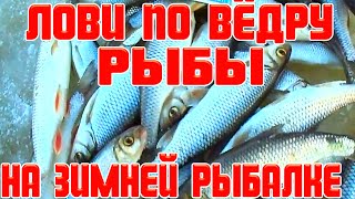 Как наловить ведро рыбы на зимней рыбалке,зимняя рыбалка 2021 на мормышку,ловля плотвы,ельца,окуня