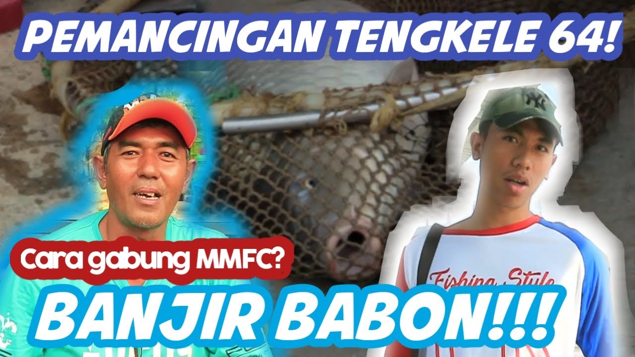 GRAND OPENING PEMANCINGAN TENGKELE 64 PANDEGLANG - BANTEN. EMPANGNYAA ISTIMEWA POKOKNYAA!!